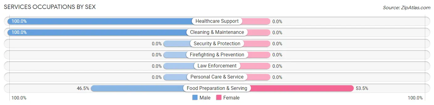 Services Occupations by Sex in Tacna