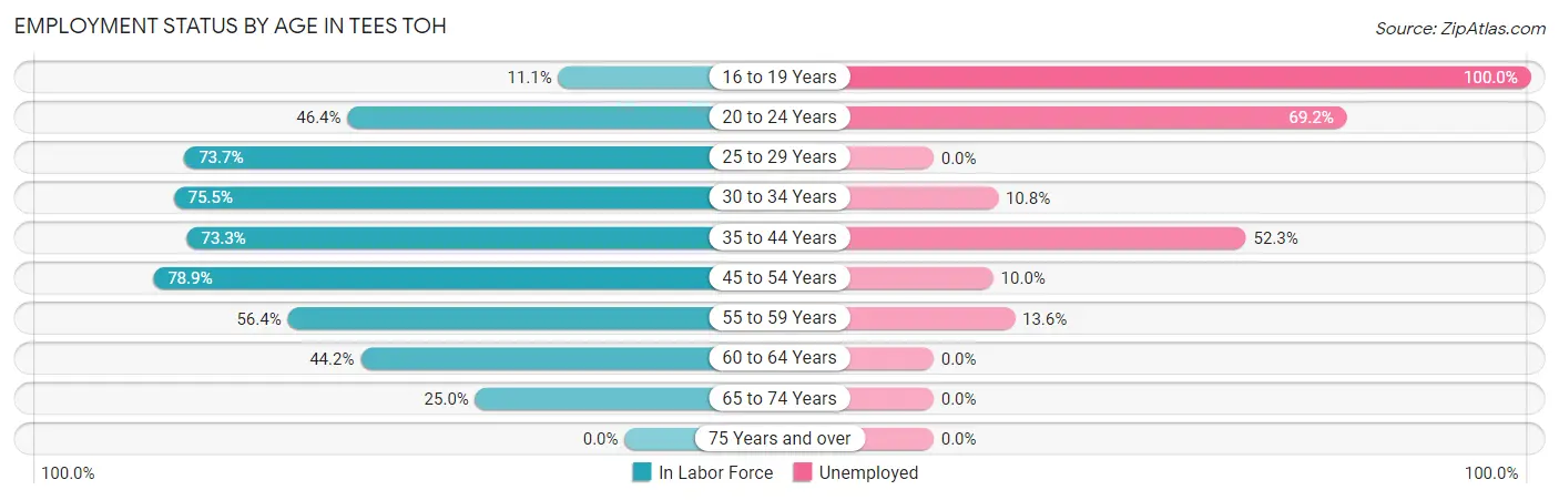 Employment Status by Age in Tees Toh