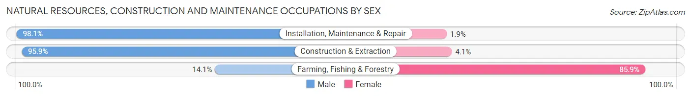 Natural Resources, Construction and Maintenance Occupations by Sex in Tempe