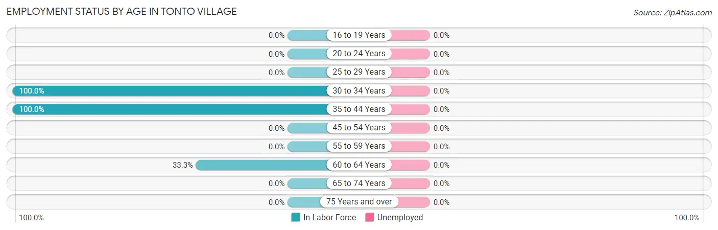 Employment Status by Age in Tonto Village