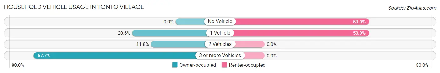 Household Vehicle Usage in Tonto Village