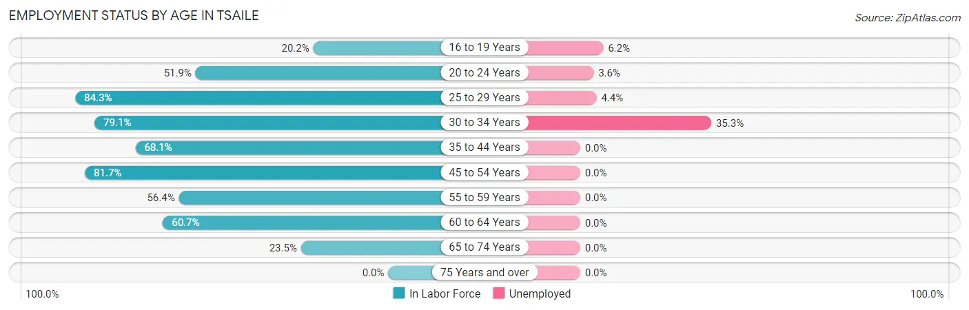 Employment Status by Age in Tsaile