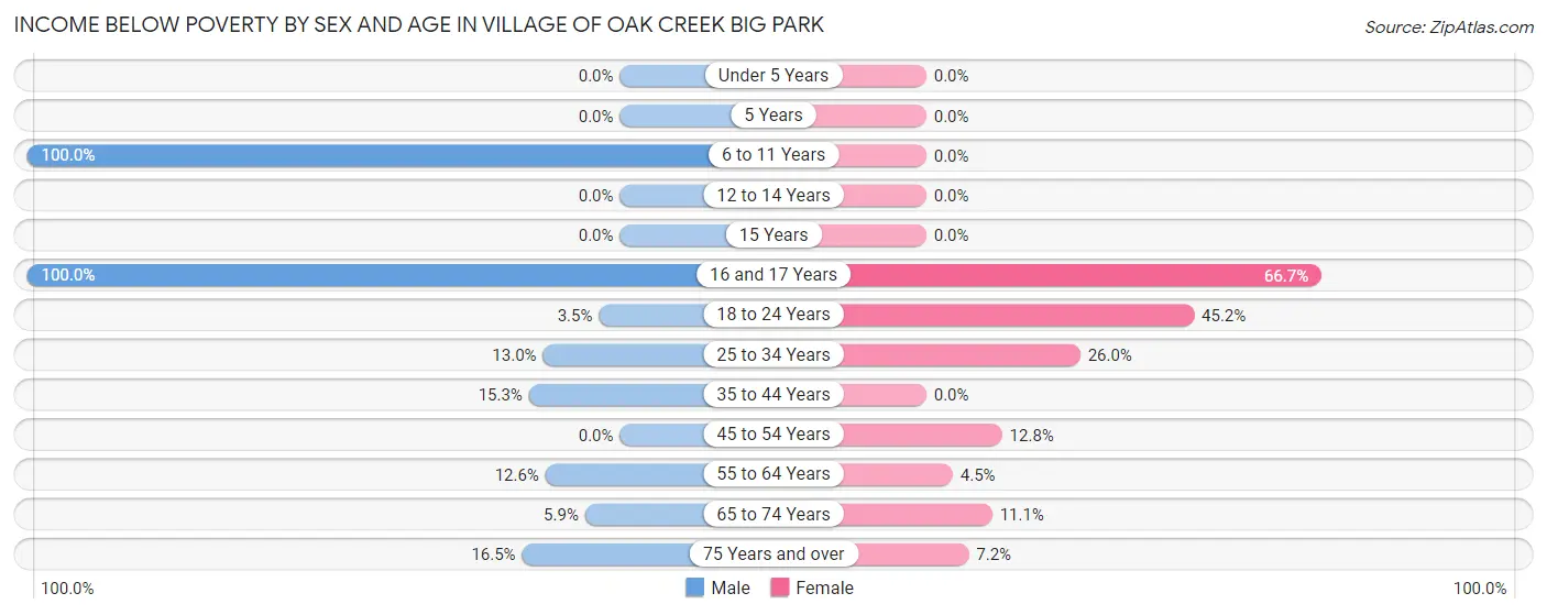 Income Below Poverty by Sex and Age in Village of Oak Creek Big Park