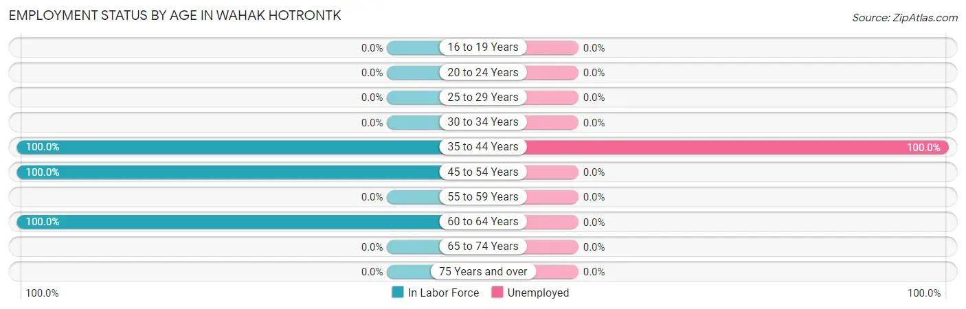 Employment Status by Age in Wahak Hotrontk