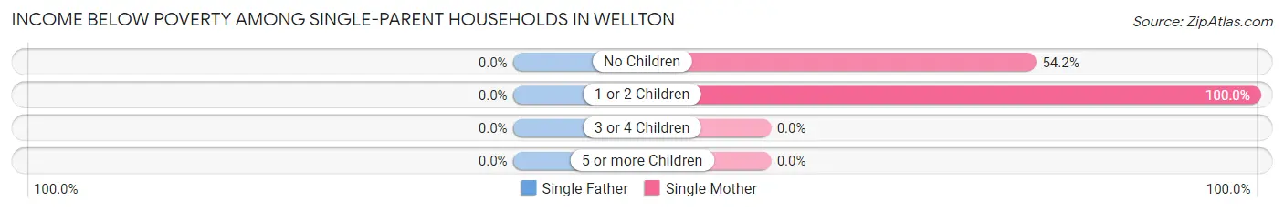 Income Below Poverty Among Single-Parent Households in Wellton