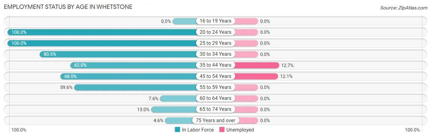 Employment Status by Age in Whetstone