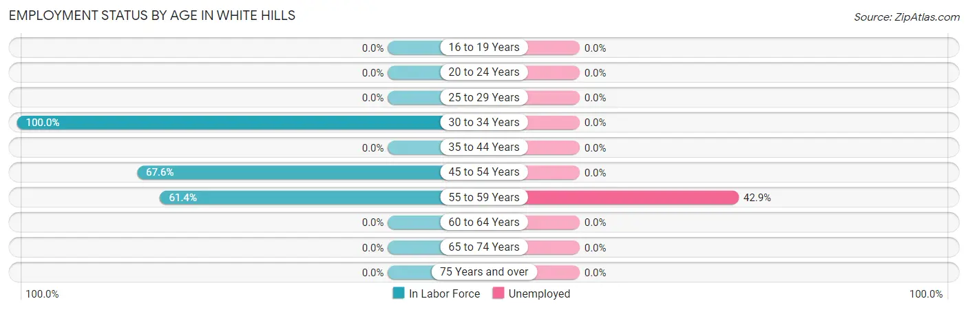 Employment Status by Age in White Hills