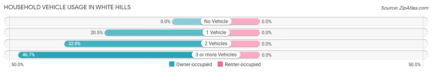 Household Vehicle Usage in White Hills