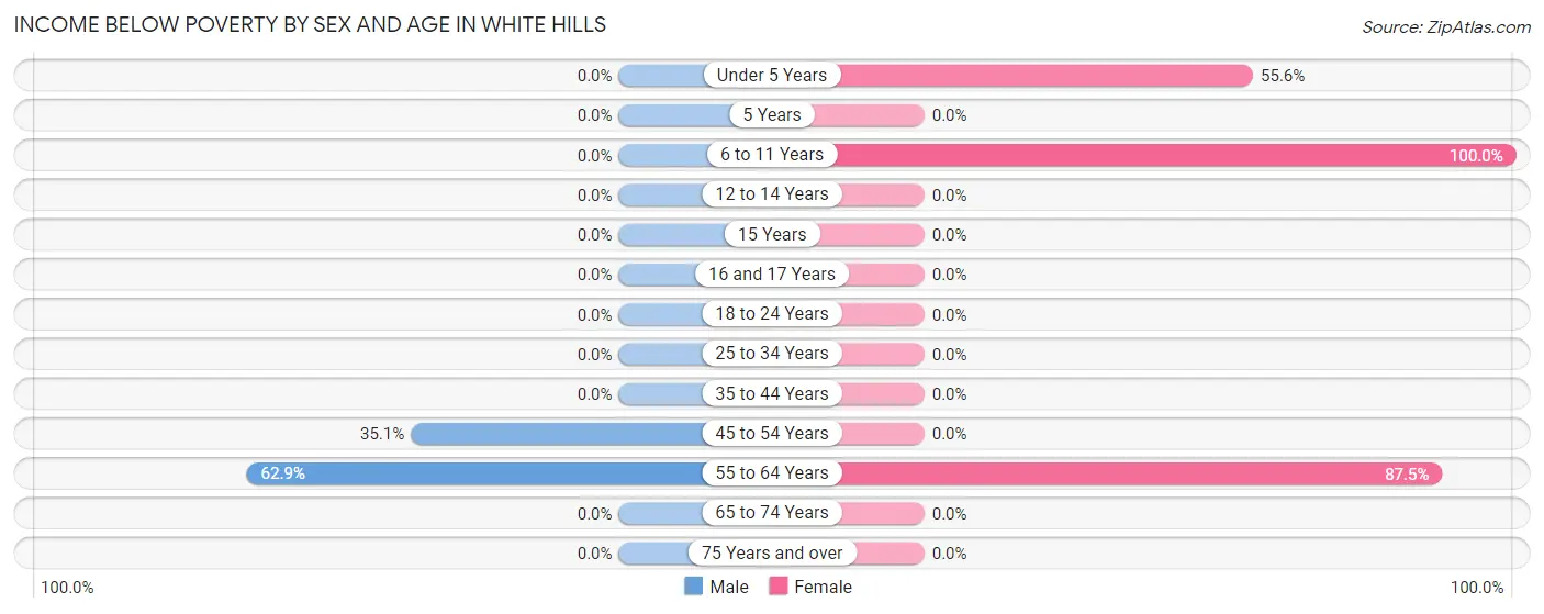 Income Below Poverty by Sex and Age in White Hills