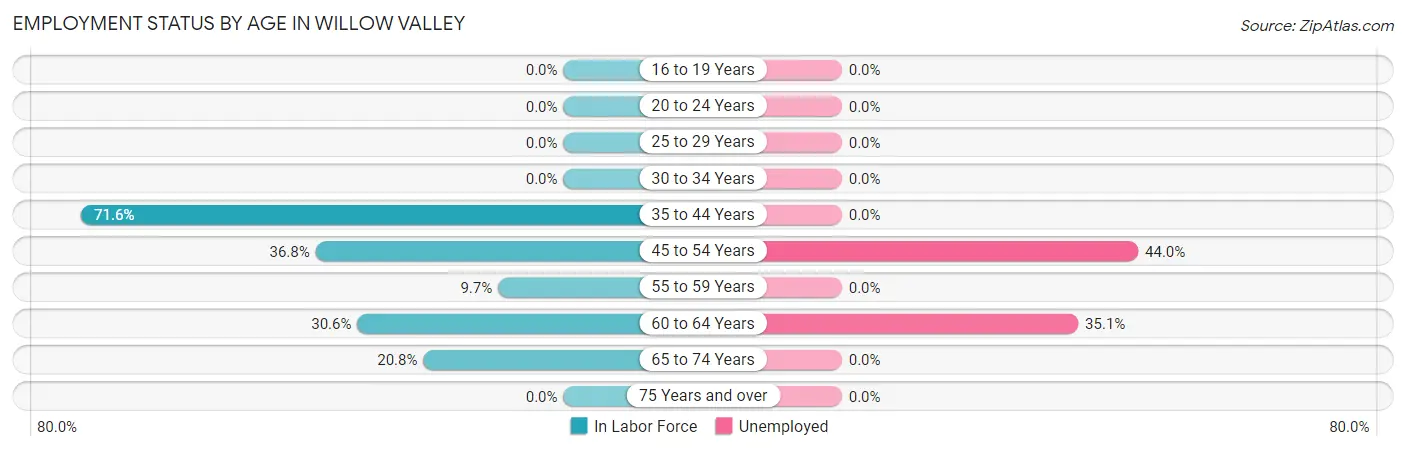 Employment Status by Age in Willow Valley