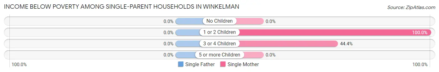 Income Below Poverty Among Single-Parent Households in Winkelman