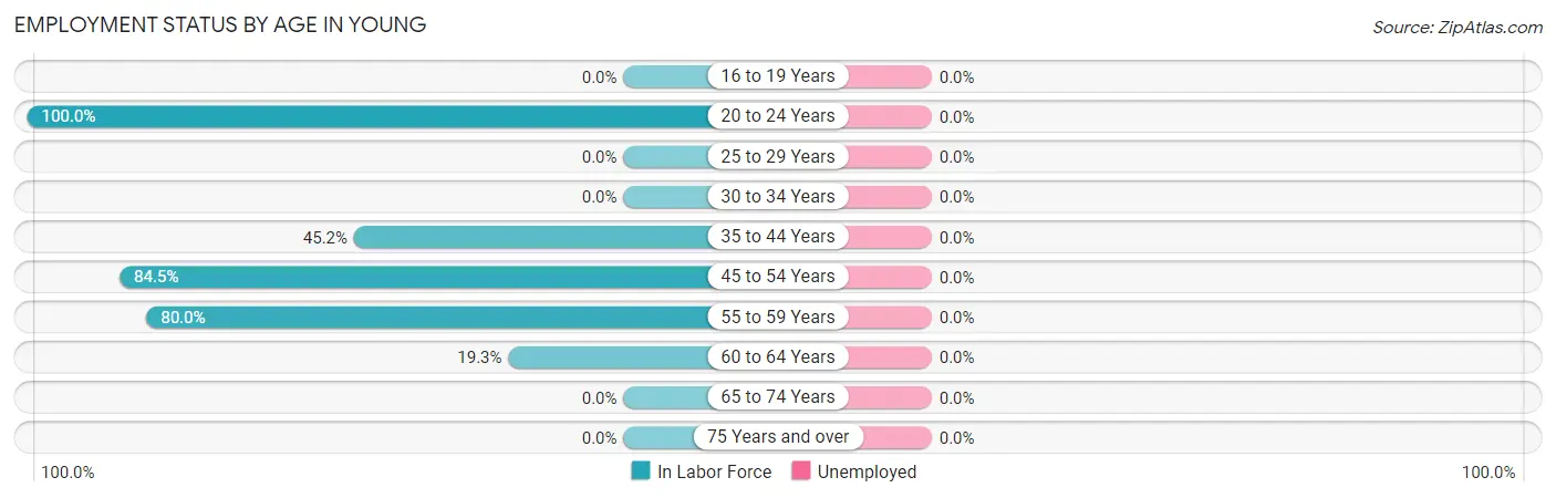 Employment Status by Age in Young