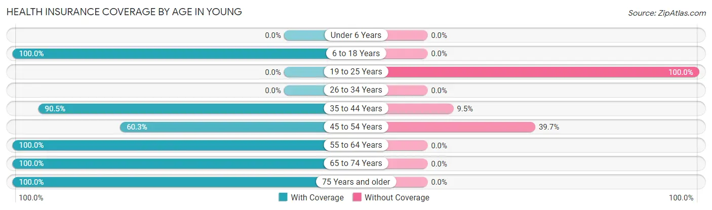 Health Insurance Coverage by Age in Young