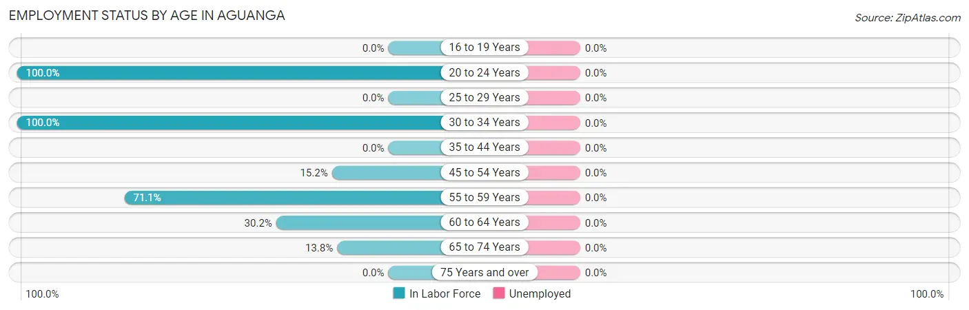 Employment Status by Age in Aguanga