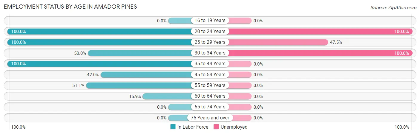 Employment Status by Age in Amador Pines