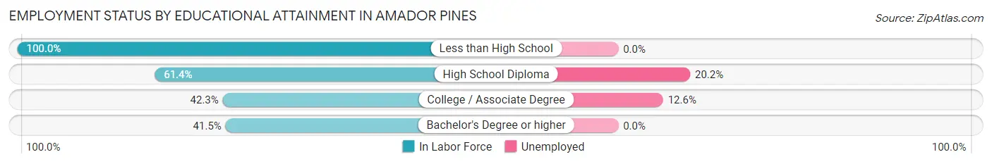 Employment Status by Educational Attainment in Amador Pines
