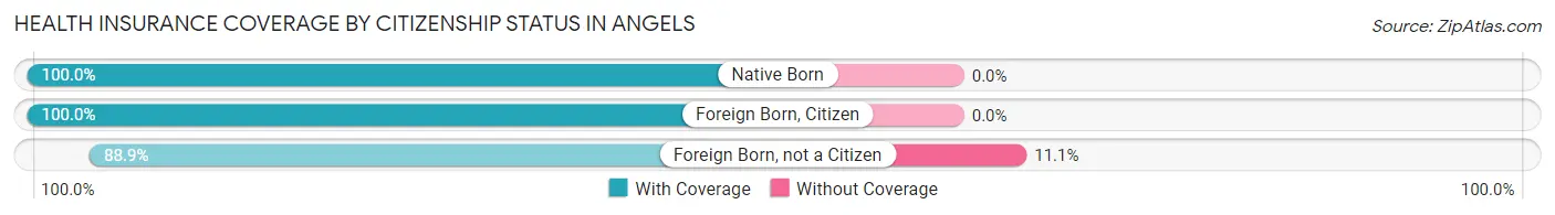 Health Insurance Coverage by Citizenship Status in Angels