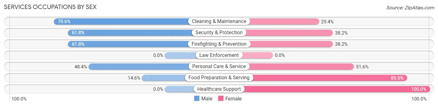 Services Occupations by Sex in Angels
