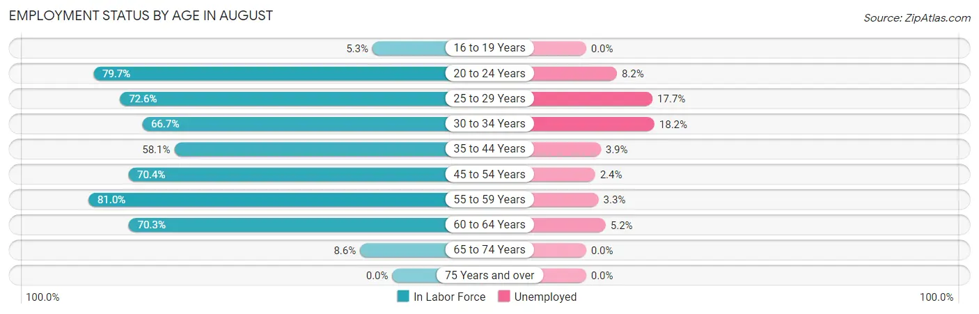 Employment Status by Age in August