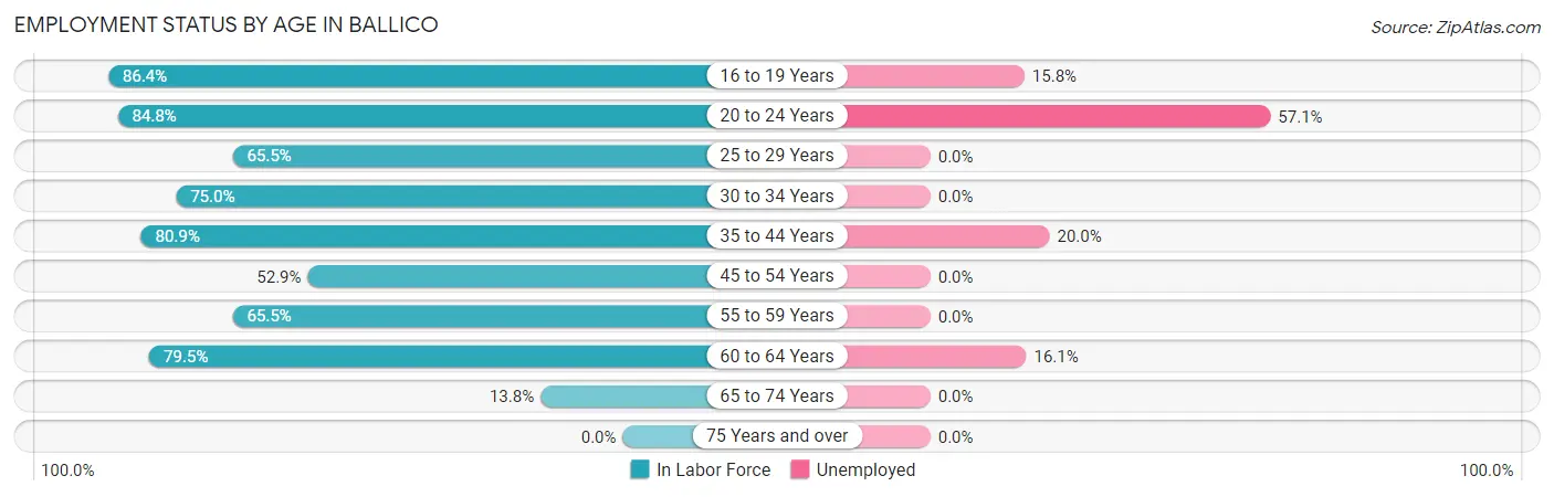 Employment Status by Age in Ballico
