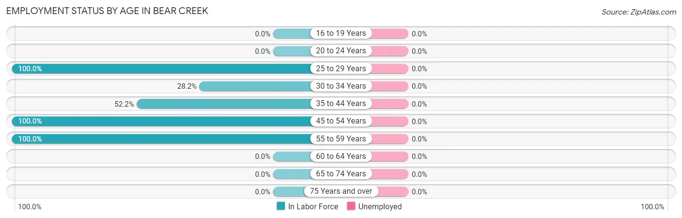 Employment Status by Age in Bear Creek