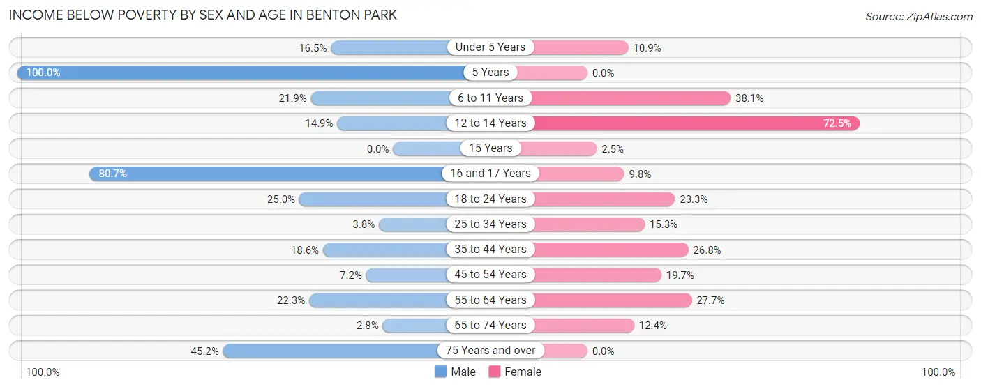 Income Below Poverty by Sex and Age in Benton Park