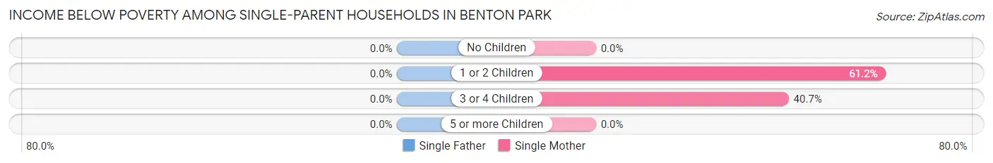 Income Below Poverty Among Single-Parent Households in Benton Park