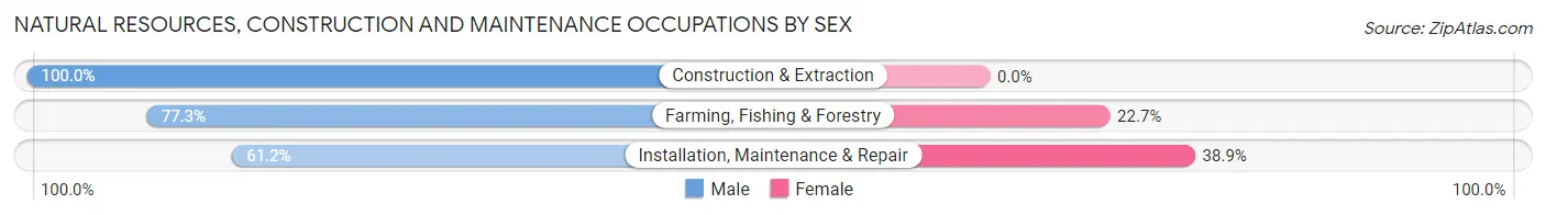 Natural Resources, Construction and Maintenance Occupations by Sex in Benton Park