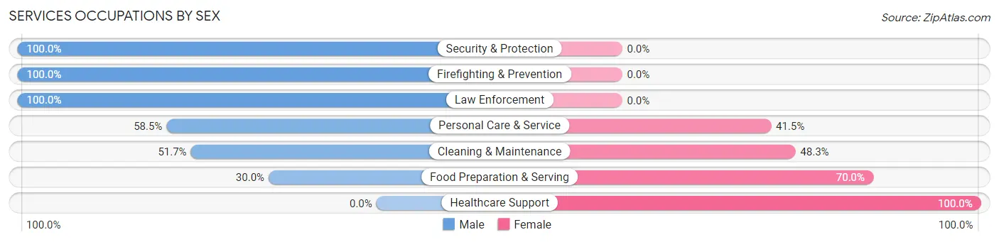 Services Occupations by Sex in Big Bear City