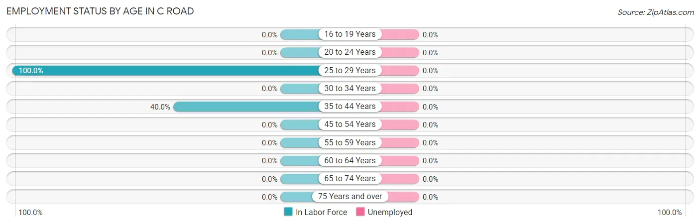 Employment Status by Age in C Road