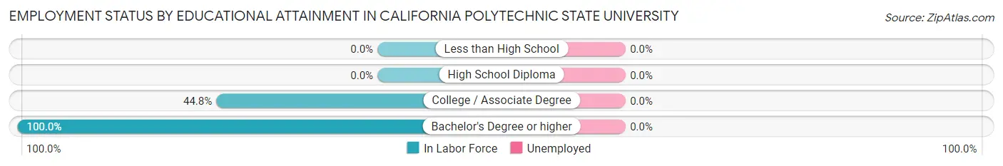 Employment Status by Educational Attainment in California Polytechnic State University
