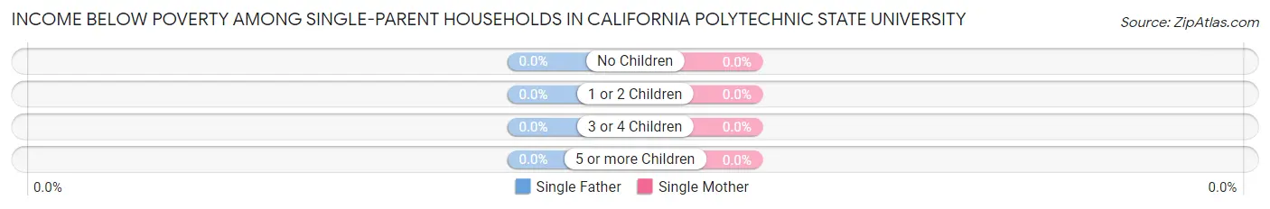 Income Below Poverty Among Single-Parent Households in California Polytechnic State University