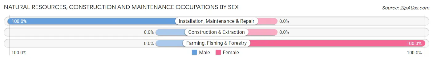 Natural Resources, Construction and Maintenance Occupations by Sex in California Polytechnic State University