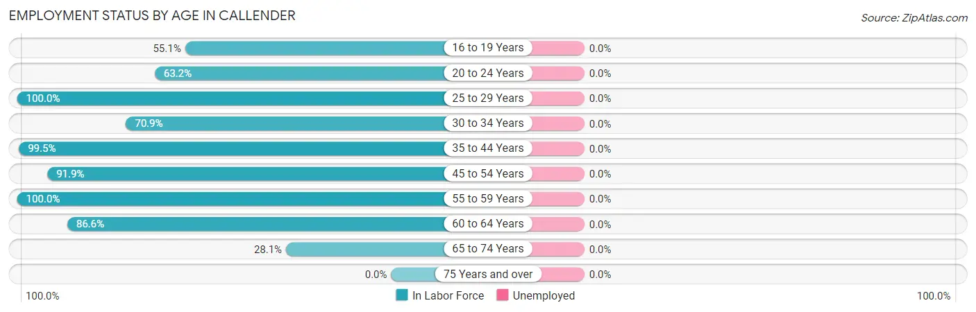 Employment Status by Age in Callender