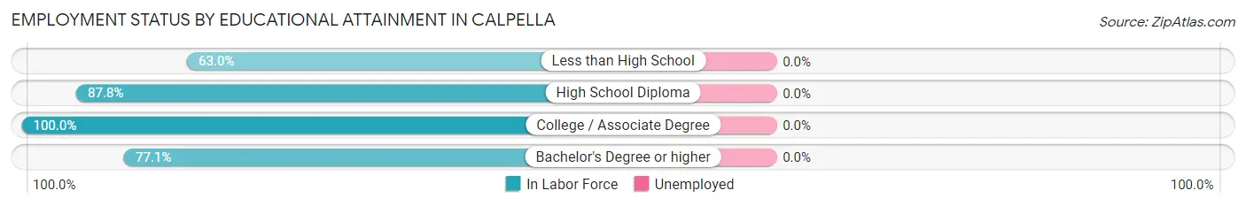 Employment Status by Educational Attainment in Calpella