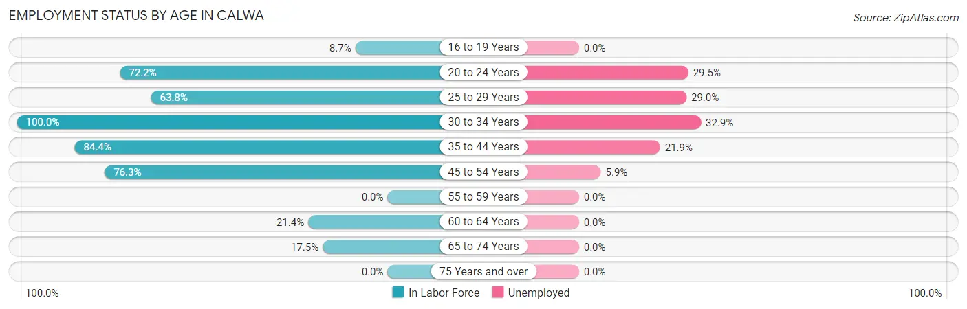 Employment Status by Age in Calwa