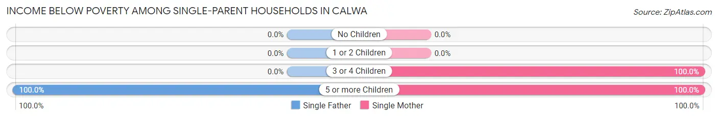 Income Below Poverty Among Single-Parent Households in Calwa