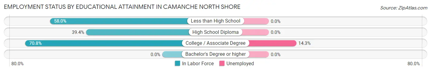 Employment Status by Educational Attainment in Camanche North Shore