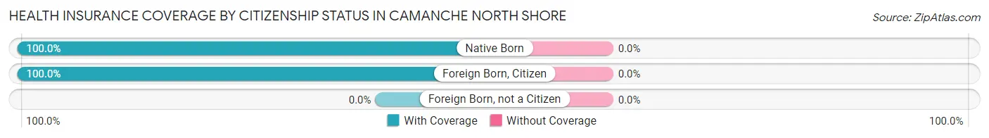 Health Insurance Coverage by Citizenship Status in Camanche North Shore