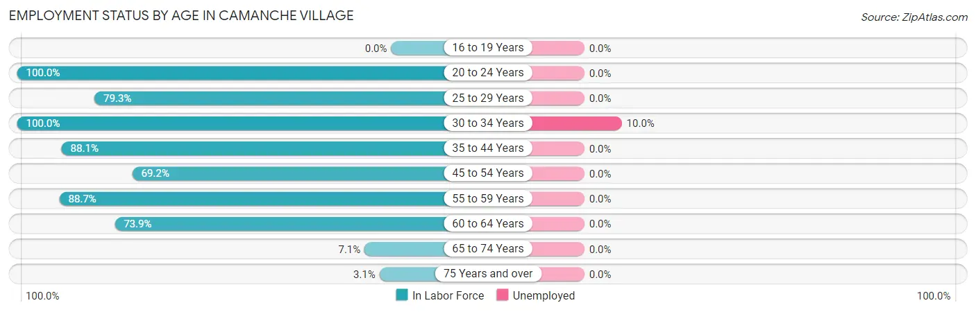 Employment Status by Age in Camanche Village
