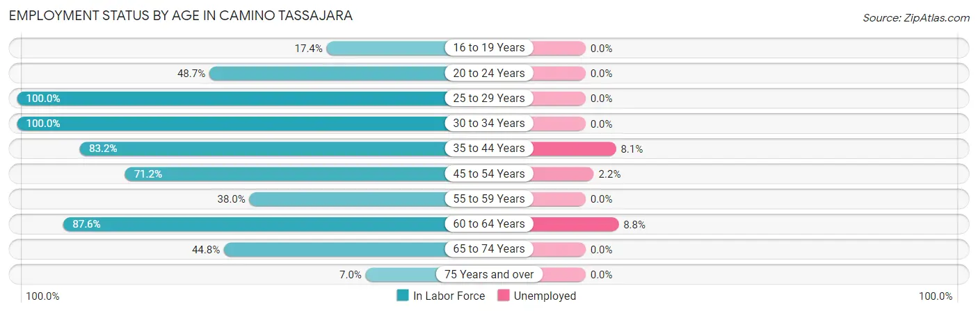 Employment Status by Age in Camino Tassajara