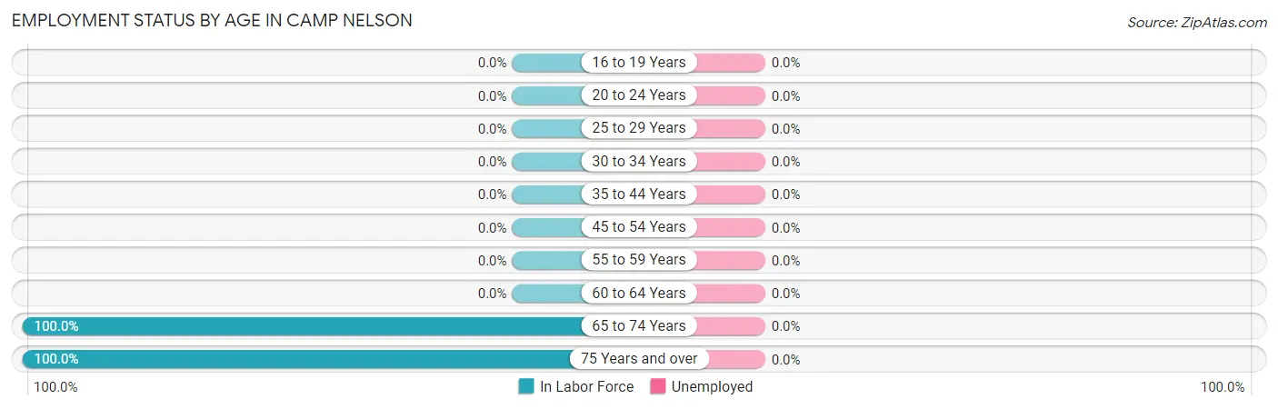 Employment Status by Age in Camp Nelson