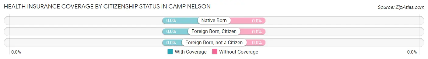 Health Insurance Coverage by Citizenship Status in Camp Nelson