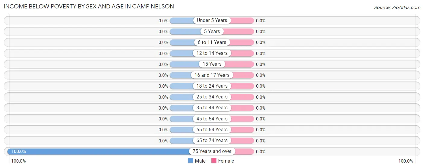 Income Below Poverty by Sex and Age in Camp Nelson