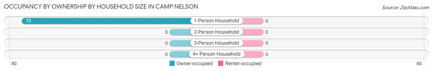 Occupancy by Ownership by Household Size in Camp Nelson