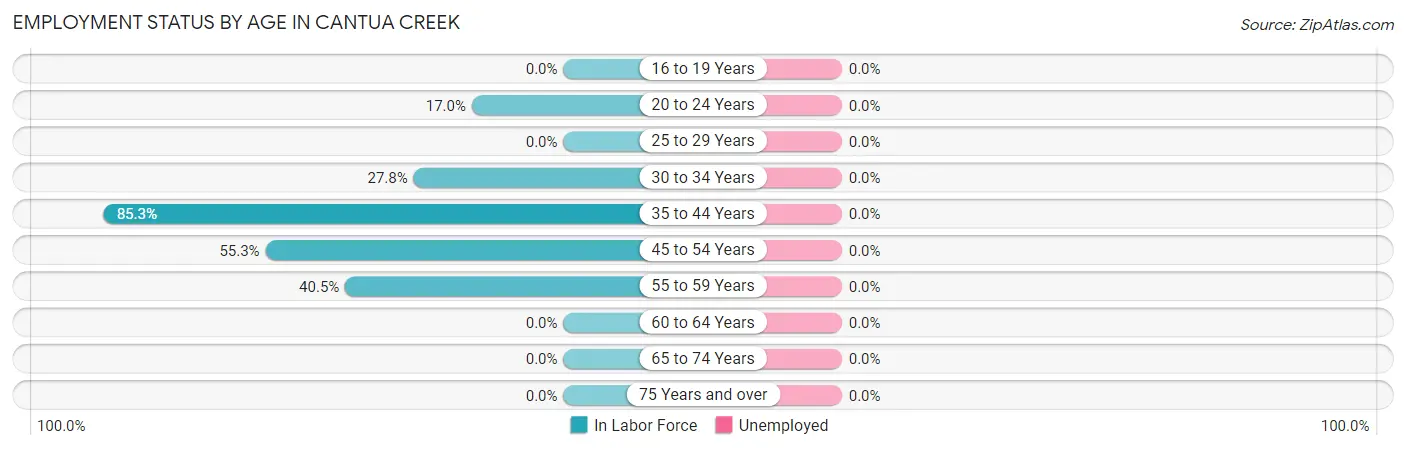 Employment Status by Age in Cantua Creek