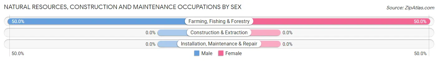Natural Resources, Construction and Maintenance Occupations by Sex in Cantua Creek