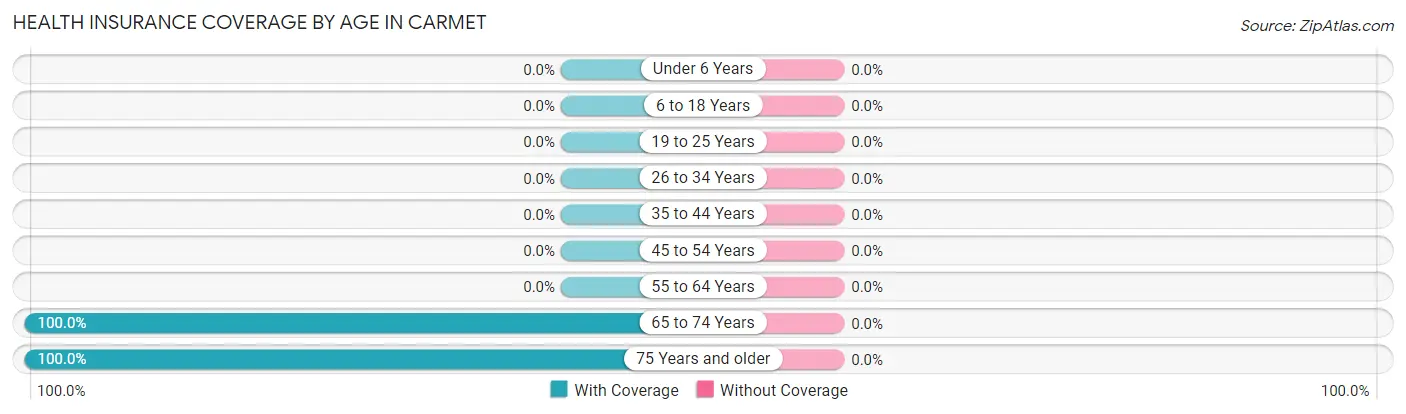 Health Insurance Coverage by Age in Carmet