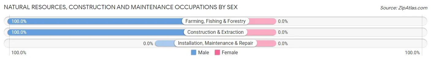 Natural Resources, Construction and Maintenance Occupations by Sex in Coloma