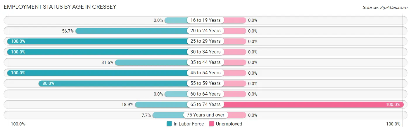 Employment Status by Age in Cressey